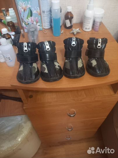 Сапожки демисезонные для собак