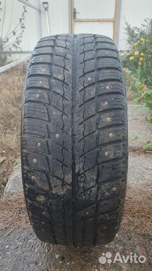 Zeta Antarctica Ice 205/55 R16