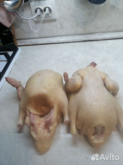 Мясо индоутки