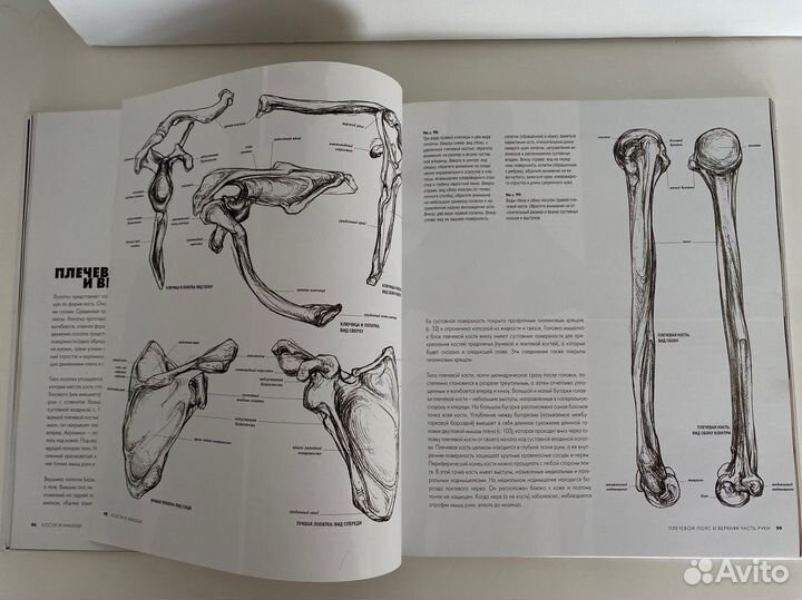 Сара Симблет 