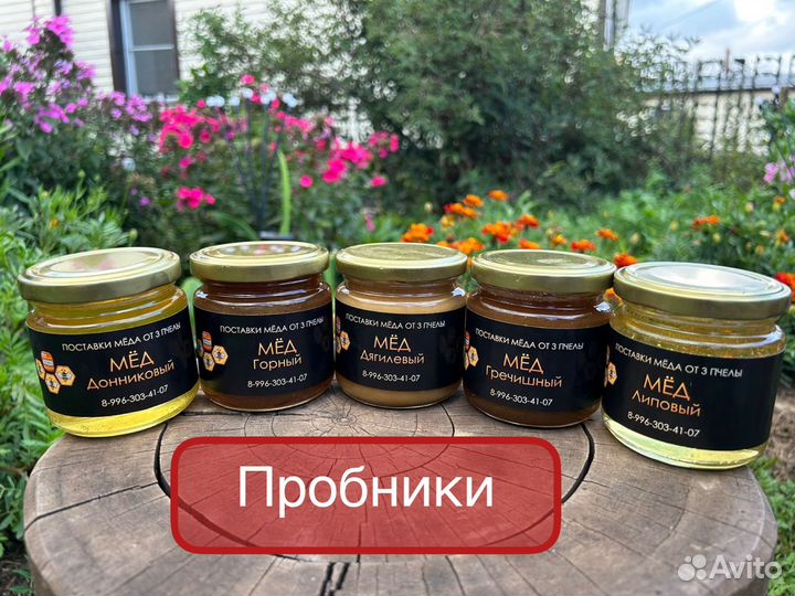 Мед алтайский оптом. Доставка из Барнаула