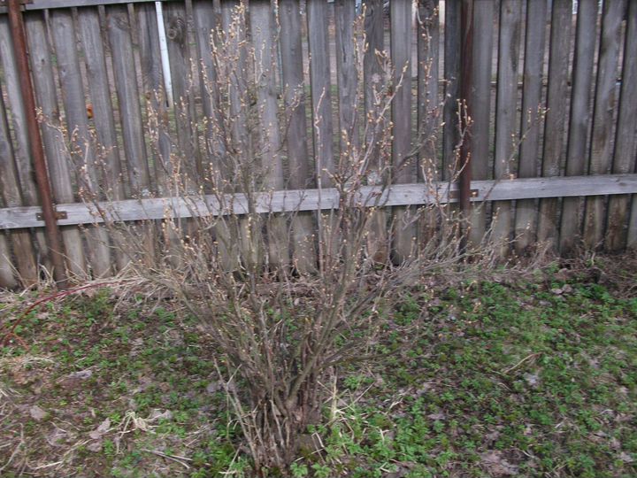 Участок 16,7 сот. (ИЖС)