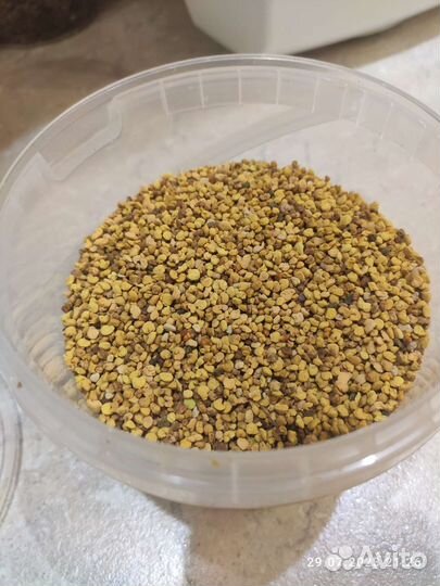 Пыльца пчелиная (2023 года)