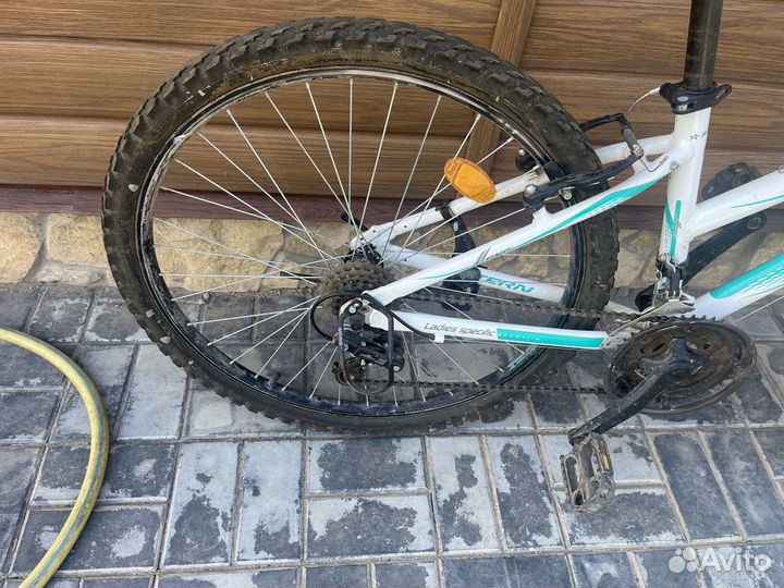 Stern Ladies Specific Geometry