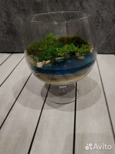 Флорариум с мхом