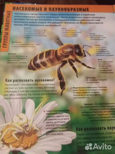 Большая энциклопедия для детей