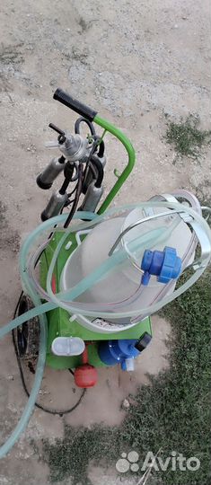 Доильный аппарат для коров