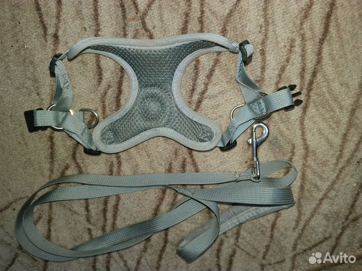Шлейка для маленьких собак и кошек