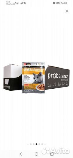 Влажный корм для кошек