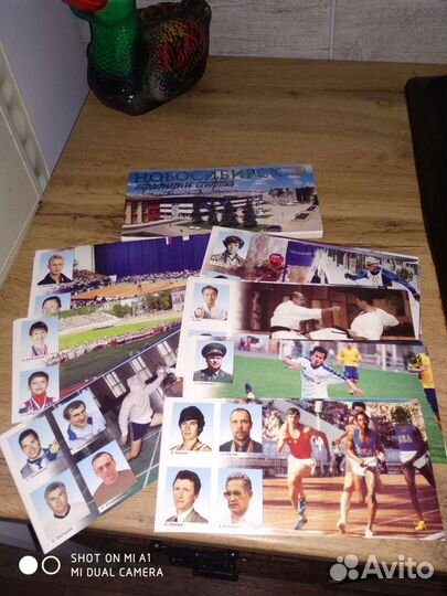 Новосибирск. Спорт. Новосибирск