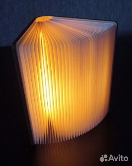 Ночник книга