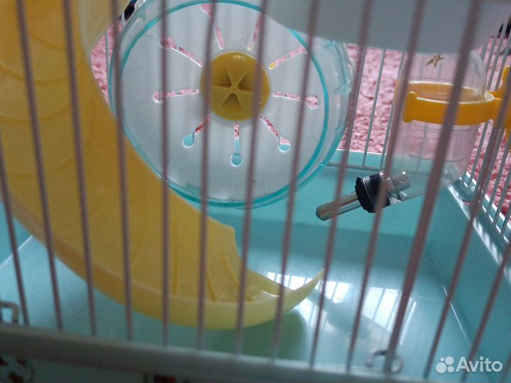 Клетка для хомяка бу