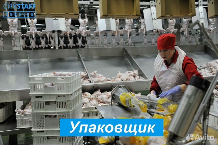 Упаковщик вахтой проживание питание