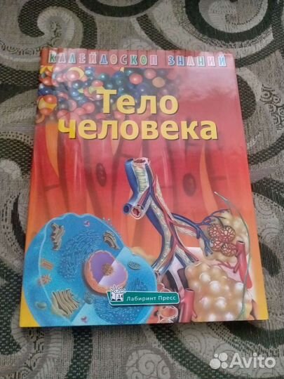 Тело человека книга