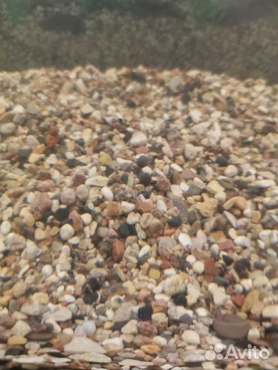 Грунт для аквариума