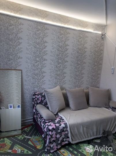 Передержка кошек