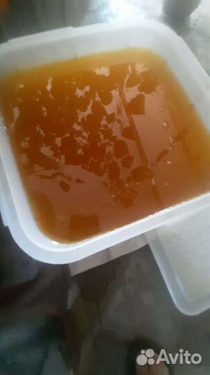 Мёд подсолнух 2023г