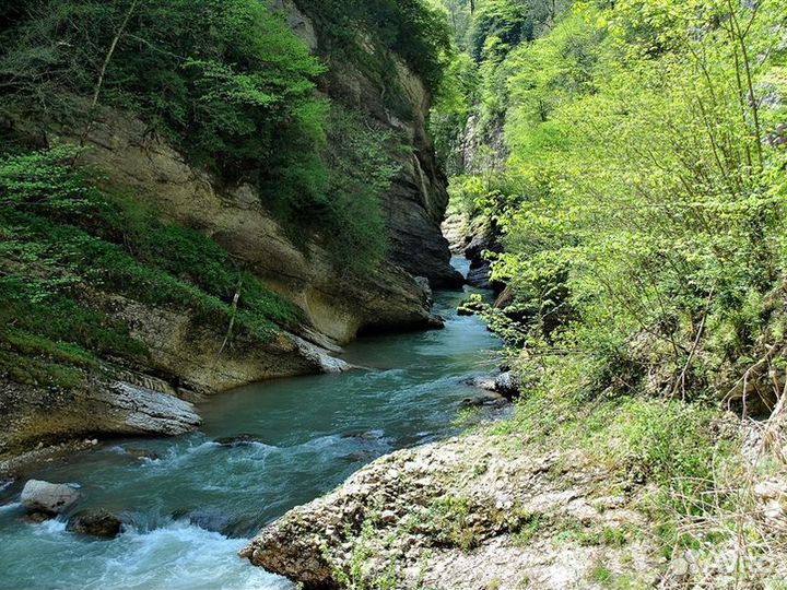 Краснодар Топ-Экскурсия Из Краснодара в Гуамское у