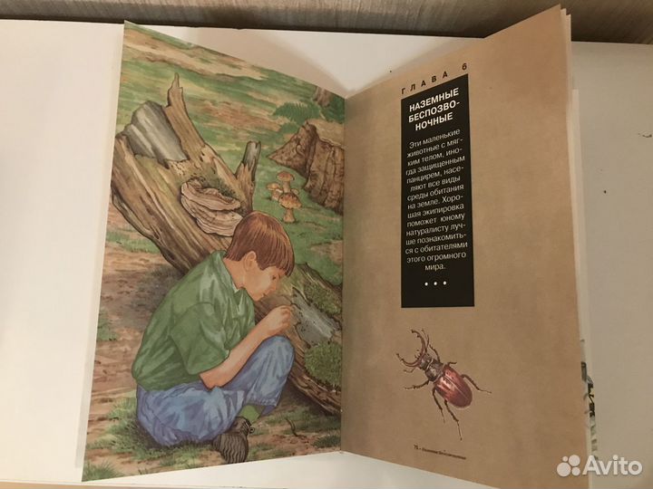 Детские книги, энциклопедии, насекомые, животные