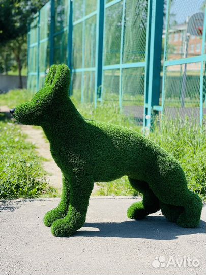 Фигура топиари, Немецкая овчарка