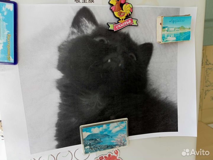 Мфу Xerox WorkCentre 4118x