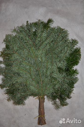 Веники банные