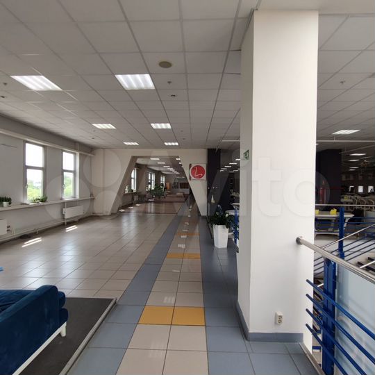 Торговая площадь, 221.5 м²