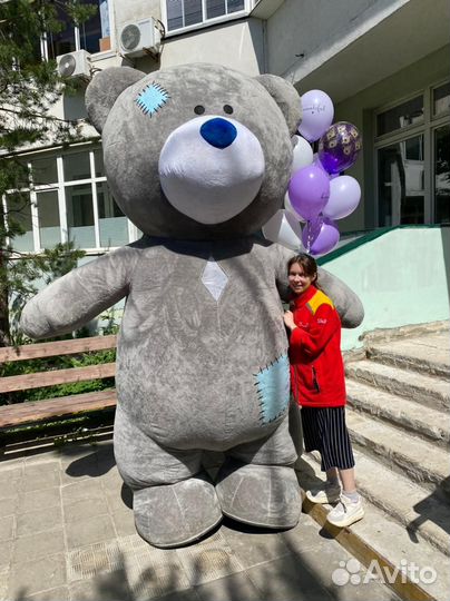 Панда, Медведь, Тедди, поздравление, сюрприз