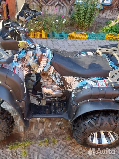 Гризли 250сс механика