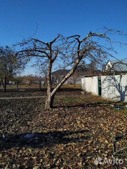 Обрезка сада, обработка пестицидами