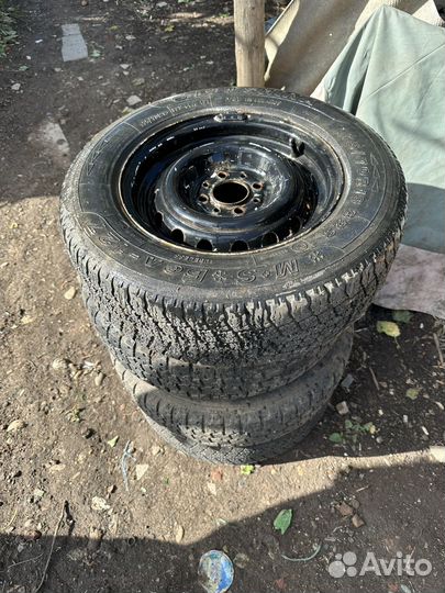 Белшина Artmotion Бел-254 2.25/65 R13