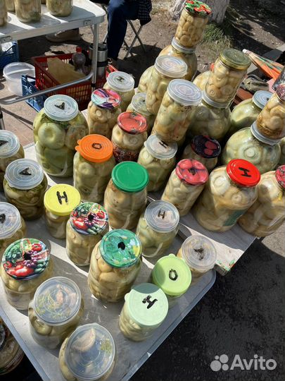 Грибы Грузди соленые