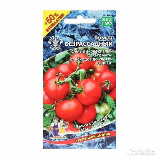 Рассада низкорослых помидор. Сорт томатов челнок