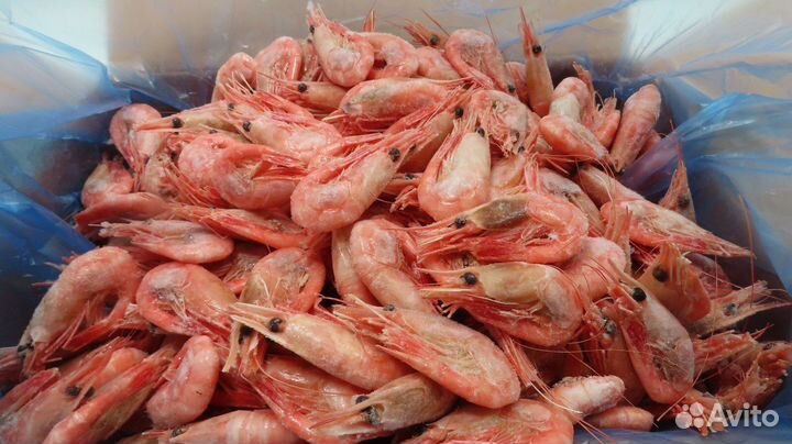 Креветка северная, королевская ваннамей, лангустин