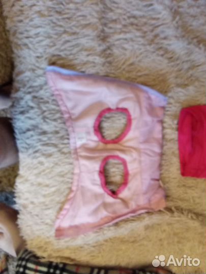 Вещи для маленькой собачки