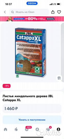 Листья миндального дерева JBL Catappa XL