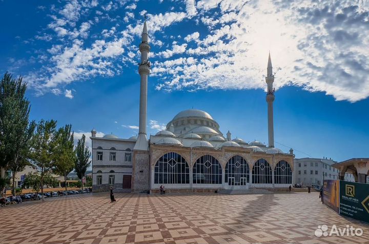 Махачкала, Петровскъ на 5 н. без питания