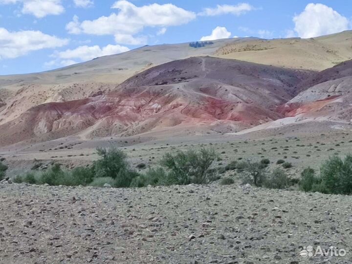 Трансфер микроавтобус