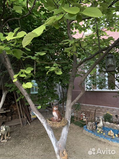 Гостевой двор