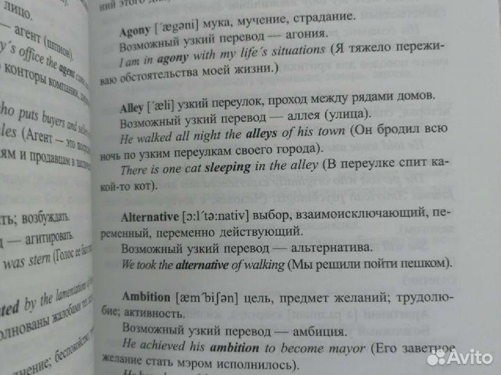 Английский язык. Словарь международных терминов