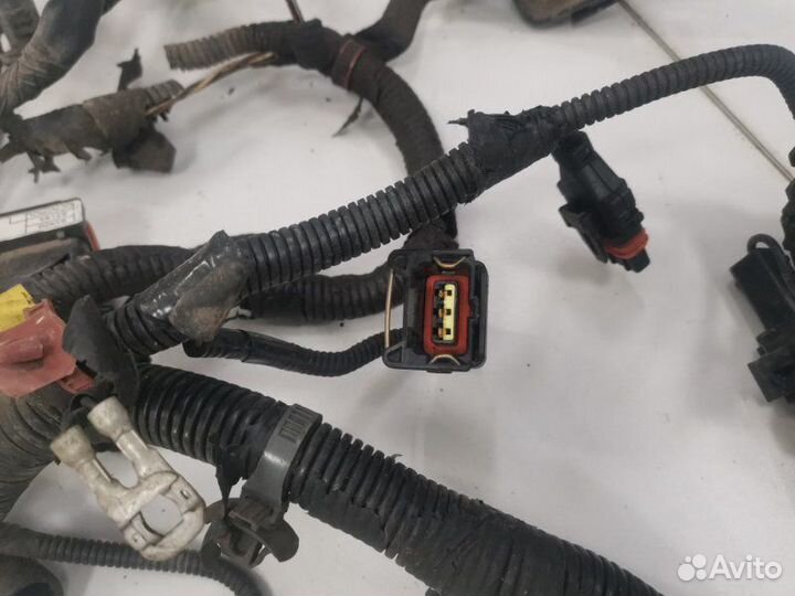 Проводка двс Hyundai Accent седан тагаз G4EC 2008