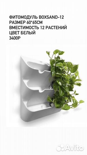 Фитомодули boxsand