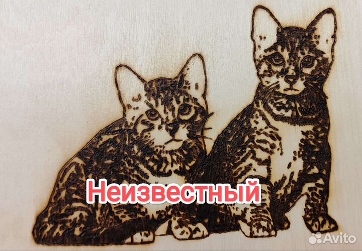 Котейки