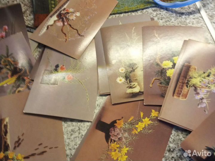 Фотокарточки гербарий,составление композиций