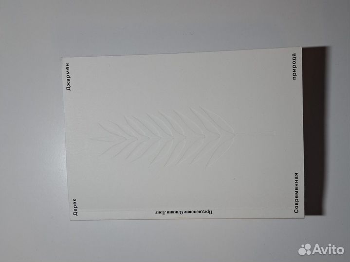 Дерек Ддармен - Современная природа