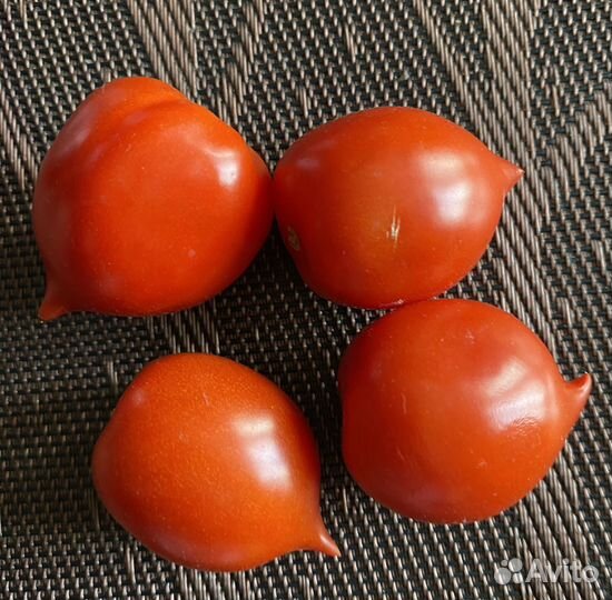 Семена томатов + коллекционные, перец острый