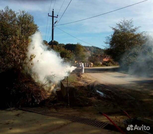 Обработка от клещей (акарицидная обработка)