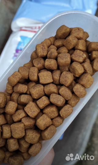 Корм для собак Royal canin puppy giant