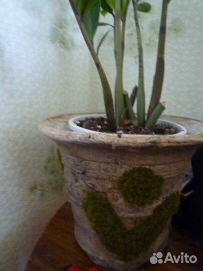 Кашпо для цветов оригинальное