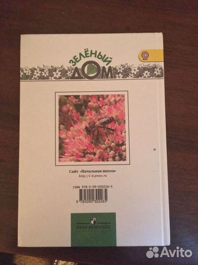 Великан на поляне или первые уроки Экологической э